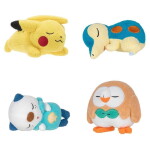 Pokemon Sleeping