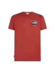 ICEBREAKER Mens Merino 150 Tech Lite SS Tee Evolving Lay, Agate velikost: XXL