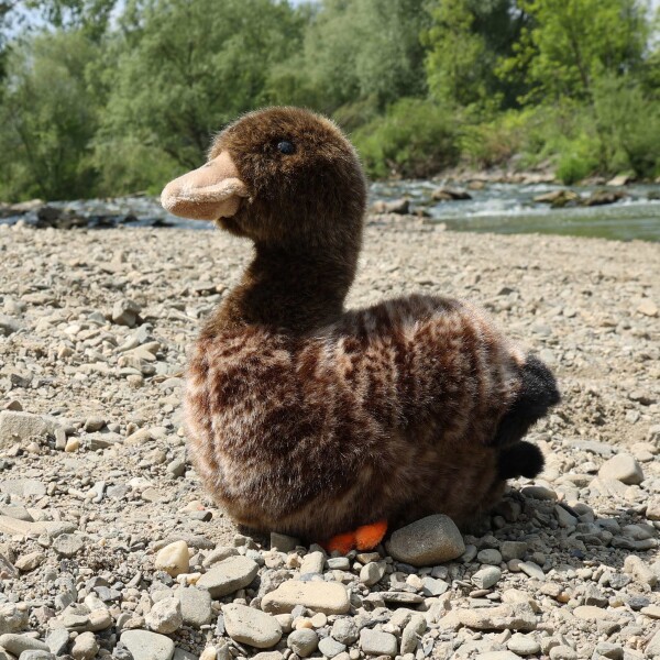 Plyšová kachna 23 cm, ECO-FRIENDLY