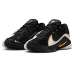 Boty Nike Lebron XXII BHM GS Jr HV8616-100 40
