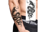 Dovoz Tetování had Barva: 2
