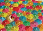 COBBLE HILL Puzzle Citron v kokosu