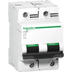 Schneider Electric A9N18413 A9N18413 elektrický jistič 80 A 250 V/DC