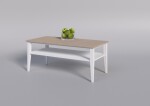 ARTEN (NANO Systems s.r.o.) Bukový konferenční stolek TALO-STL1 120x60 (Bílá)
