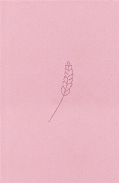 Bible21 – kapesní