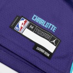 Dětský dres Charlotte Hornets NBA LaMelo Ball #1 Jordan Swingman Fialová (YOUTH)
