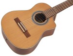 Ortega RQ39E