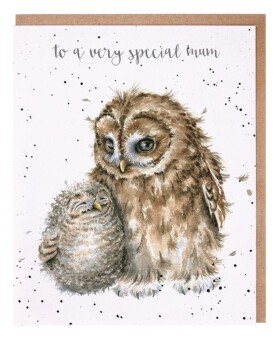 Přání pro maminku Wrendale Designs Owl Always Love You - Sovy