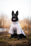 Plex zimní bunda pro psa Barva: Žlutá, Délka zad (cm): 71, Obvod hrudníku: 78 - 92 cm