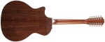 Taylor 454ce Natural