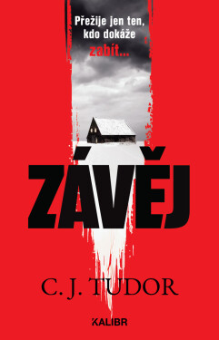Závěj - C. J. Tudorová