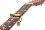 G7th Heritage 1 Guitar Gold