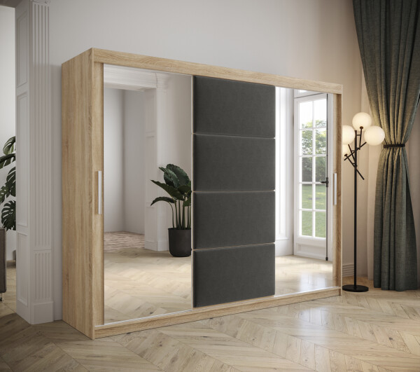 Šatní skříň Abi Tapi Barva korpusu: Dub Sonoma, Rozměry: 250 cm, Dveře: Manila 16