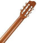 Godin Arena Flame Maple CW Dual Source EQ
