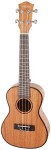 Cascha HH 2036 Concert Mahogany Ukulele Bundle