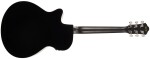 Ibanez AEG50 Black