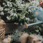 HAWS Plastová konvička s kropítkem Bartley Duck Egg Blue 1 l, modrá barva, plast
