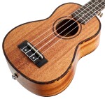 Cascha HH 2026L
