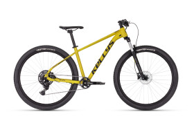 Kellys Spider X70 2024