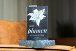 Plamen - Monika Rutka
