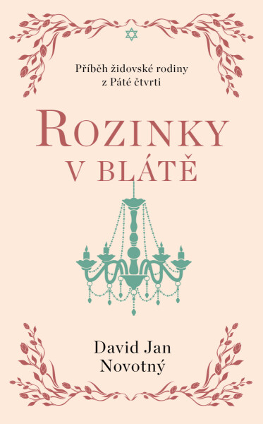 Rozinky v blátě - David Jan Novotný