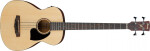 Ibanez PCBE12 Open Pore Natural