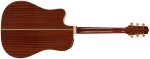 Takamine P4DC