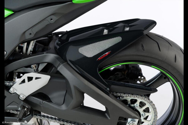 Kawasaki Zx10-R 11-25 Zadní blatník - Karbonový vzhled-stříbrná mřížka