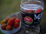 G.B.U. Boilies Mutant Extreme Crab + Mulberry w/Holy Smoke 130g - 20mm,G.B.U. Boilies Mutant Extreme Crab + Mulberry w/Holy Smoke 130g - 20mm