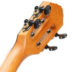 Ortega RTPX Tenor FMA