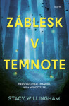 Záblesk temnote