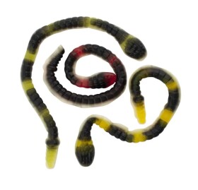 Želé obří hadi 900g (Jelly Giant Snake)