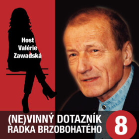 (Ne)vinný dotazník Radka Brzobohatého 8. - audiokniha