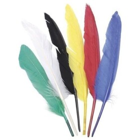 Dekorativní peří Indianske 6 ks / 25 - 30 cm