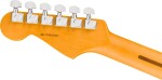 Fender American Professional Stratocaster HSS RW ACB