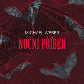 Noční příběh - Michael Weber - audiokniha