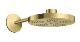 AXOR - One Hlavová sprcha, průměr 28 cm, 2 proudy, kartáčovaná mosaz 48492950