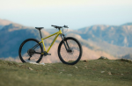 PELLS Razzer 2 29", rám M, model 2025, barva Mustard/ash - ZDARMA dopravné, odborná montáž, seřízení a dárkový poukaz na nákup příslušenství! (Záruka nejlepší ceny! Nakupujte u autorizovaného prodejce!)