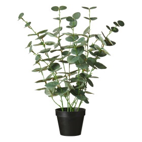 Ib Laursen Umělý eukalyptus v květináči 52 cm, zelená barva, plast