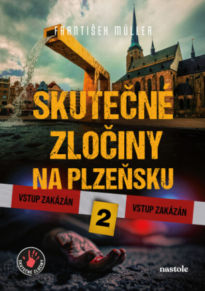 Skutečné zločiny na Plzeňsku 2 - František Müller, Milan Říský - e-kniha