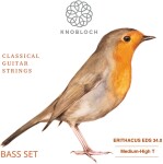 Knobloch ERITHACUS Double Silver Bass Set Medium-High Tension 34.0