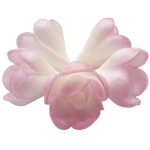 Dekorace oplatková - Růže poupě, růžová stínovaná, 5 ks