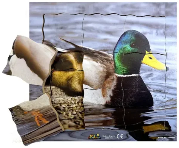 Just Jigsaws 603 Kačer a jeho životní cyklus - dřevěné vrstvené puzzle