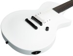 ESP LTD EC-Arctic Metal SWS