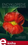 Encyklopedie rostlin tropů subtropů Libor Kunte,