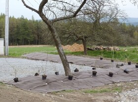 Rozložitelná ekotextilie ze 100% biomasy přírodními vlákny) Agrotextílietilie EKO+ 157 g/m² m²]