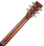 Tanglewood TW45RVSE