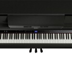 Roland LX-6 CH