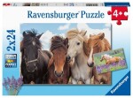 Ravensburger Puzzle - Fotky koní 2 x 24 dílků