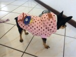 Sweet růžová bunda pro psa se srdíčky Barva: Růžová, Délka zad (cm): 25, Obvod hrudníku: 40 - 44 cm